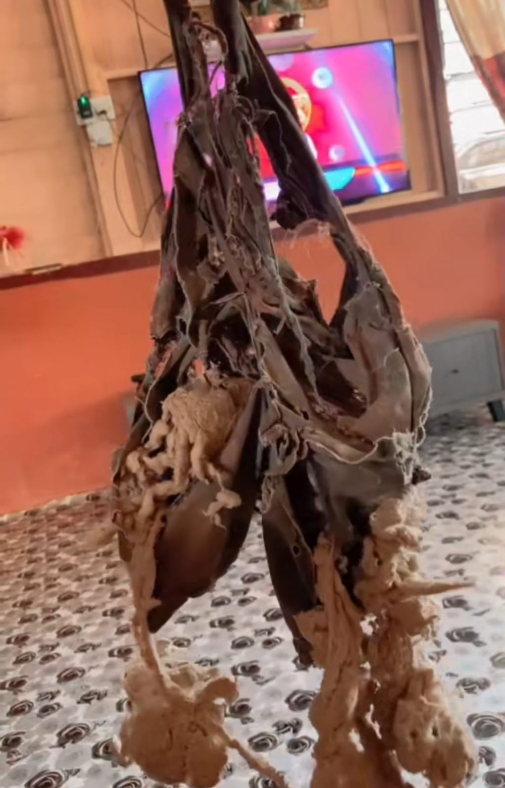 Usianya sudah 27 tahun, wanita ini tunjukkan bantal kesayangannya dari 1998, potretnya bikin melongo