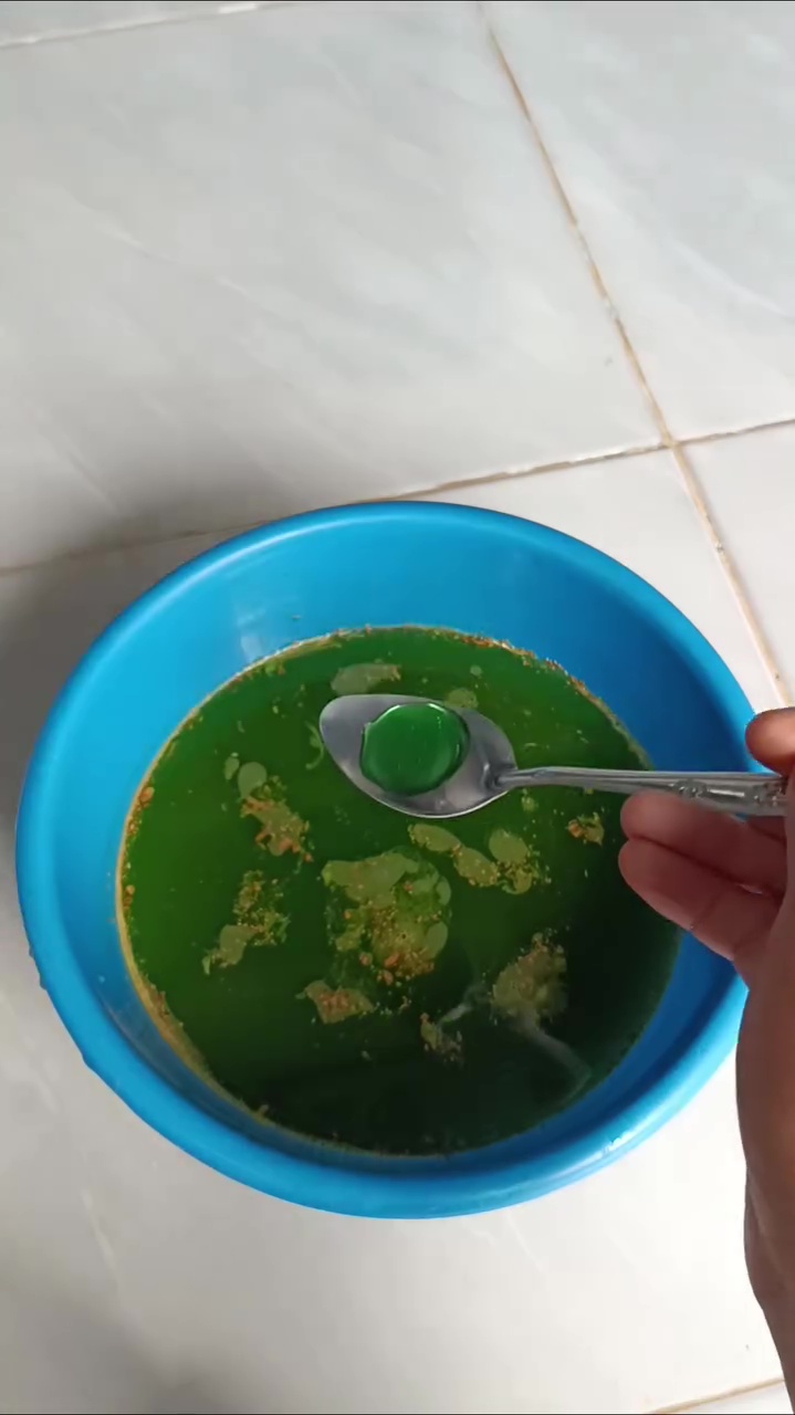 Jangan dibiarkan! Kutu daun di tanaman cabai bisa bikin layu dan rontok, begini cara mengatasinya