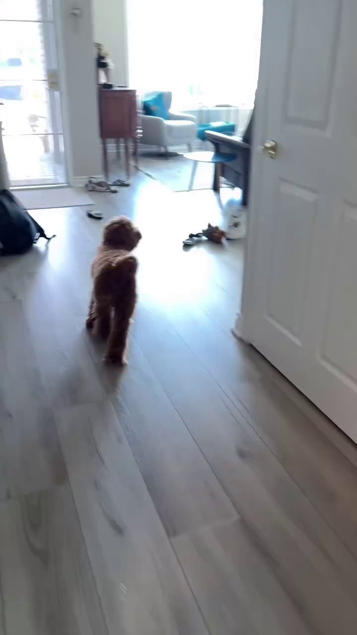 9 Potret gender reveal anak pertama Aurelie Moeremans dan Tyler Bigenho, konsepnya sederhana tapi unik