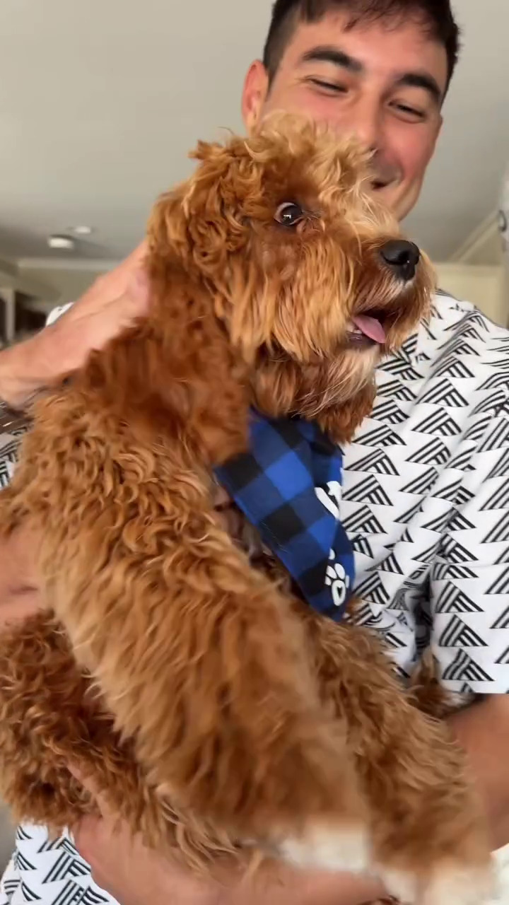 9 Potret gender reveal anak pertama Aurelie Moeremans dan Tyler Bigenho, konsepnya sederhana tapi unik