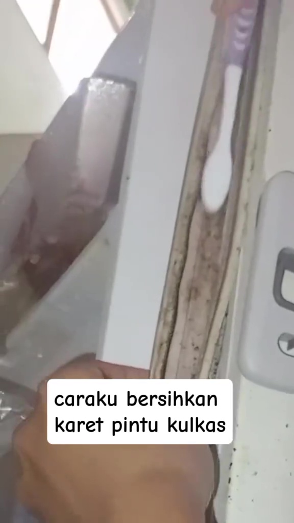 Karet pintu kulkas berjamur dan berkerak bisa auto bersih dalam sekali sikat, kuncinya di 1 bahan ini