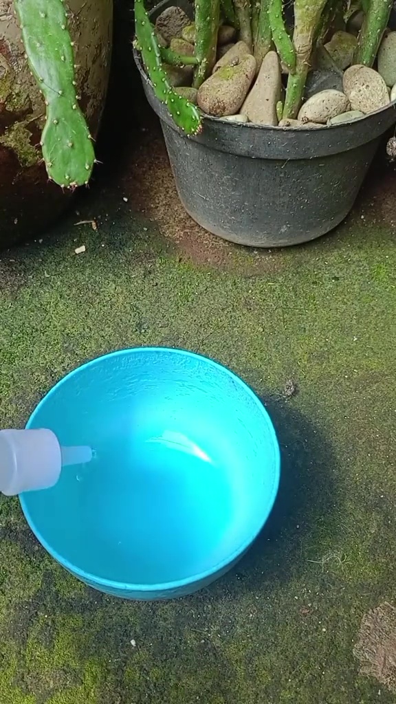 Karet pintu kulkas berjamur dan berkerak bisa auto bersih dalam sekali sikat, kuncinya di 1 bahan ini