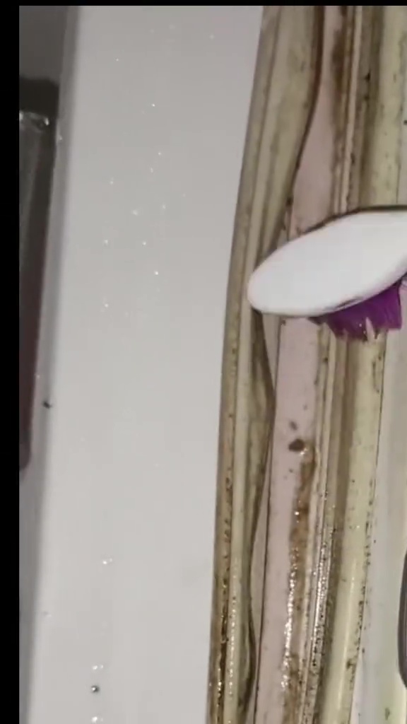 Karet pintu kulkas berjamur dan berkerak bisa auto bersih dalam sekali sikat, kuncinya di 1 bahan ini