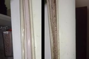 Karet pintu kulkas berjamur dan berkerak bisa auto bersih dalam sekali sikat, kuncinya di 1 bahan ini