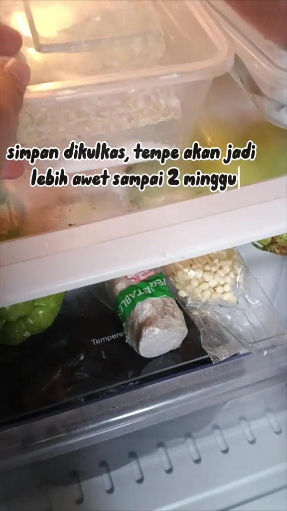 Salah cara simpan tempe bisa bikin asam dan berlendir dalam sehari, coba trik ini biar awet 2 minggu
