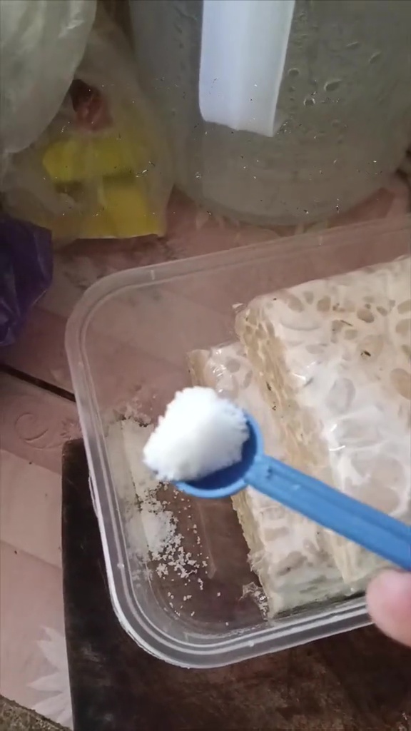 Salah cara simpan tempe bisa bikin asam dan berlendir dalam sehari, coba trik ini biar awet 2 minggu