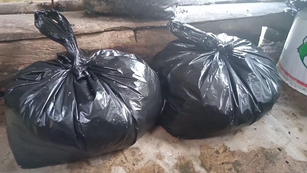 Jangan dibuang! Ampas kelapa bisa jadi kompos organik yang bikin tanaman subur, begini cara pakainya