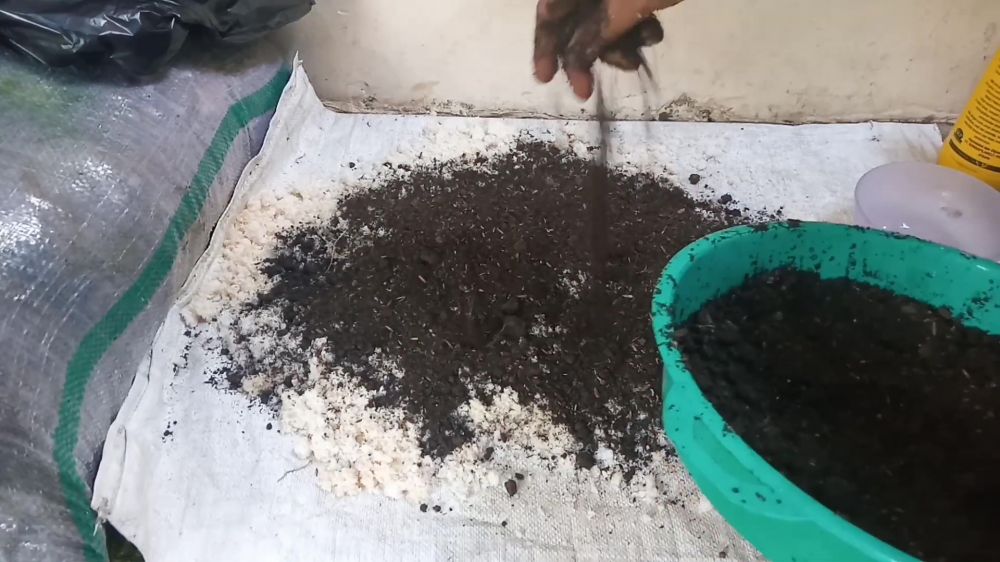 Jangan dibuang! Ampas kelapa bisa jadi kompos organik yang bikin tanaman subur, begini cara pakainya