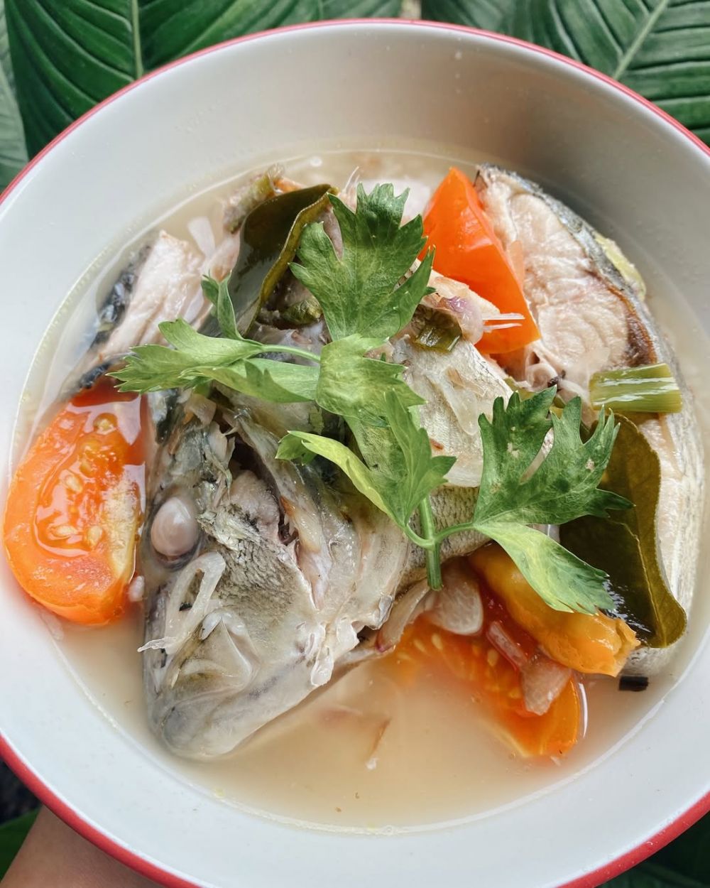5 Resep ikan kuah asam yang harusnya jadi menu MBG menurut dr Tan Shot Yen