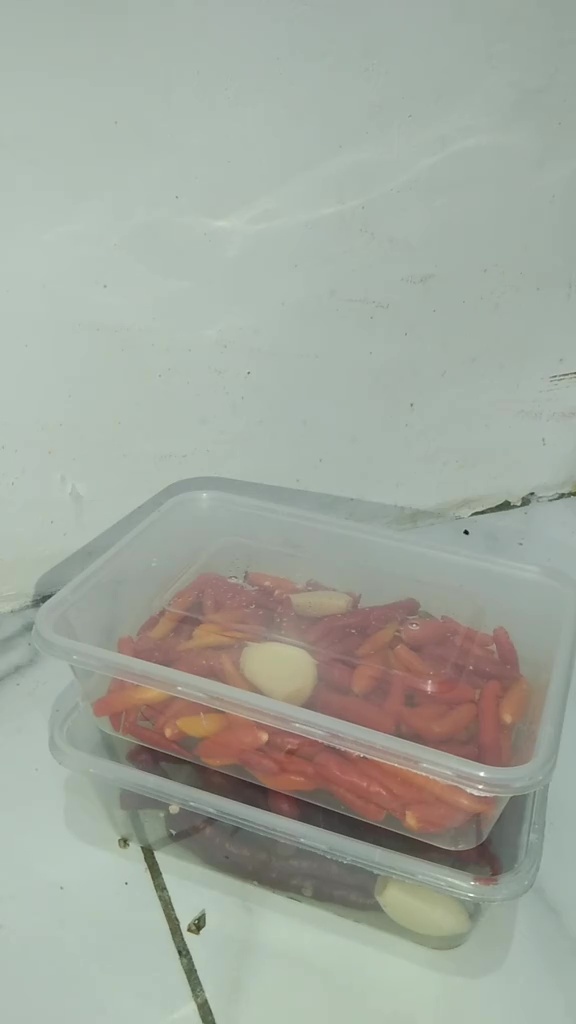 Anak kos ini bagikan trik menyimpan cabai tanpa kulkas agar awet dan tak cepat busuk hingga 1 minggu