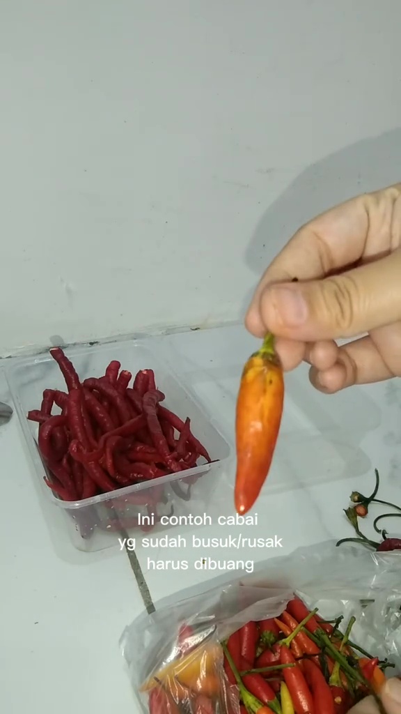 Anak kos ini bagikan trik menyimpan cabai tanpa kulkas agar awet dan tak cepat busuk hingga 1 minggu