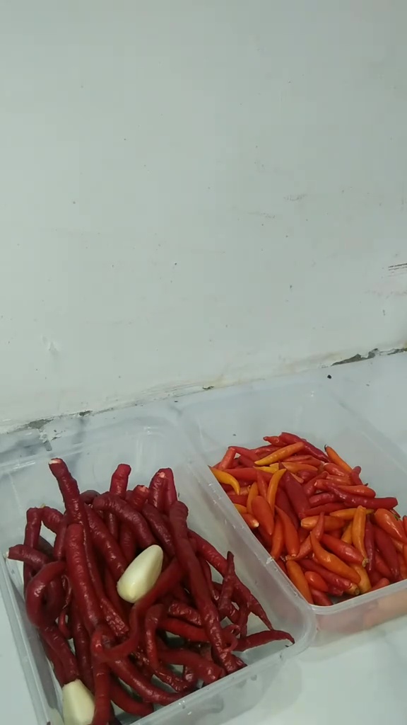 Anak kos ini bagikan trik menyimpan cabai tanpa kulkas agar awet dan tak cepat busuk hingga 1 minggu