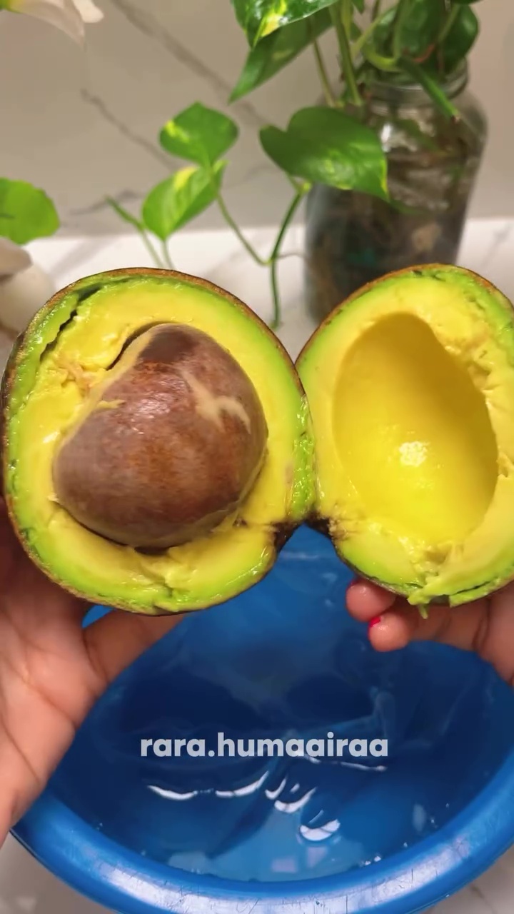 Punya alpukat matang tapi bingung cara simpannya? Pakai metode ini biar antibusuk hingga 10 hari