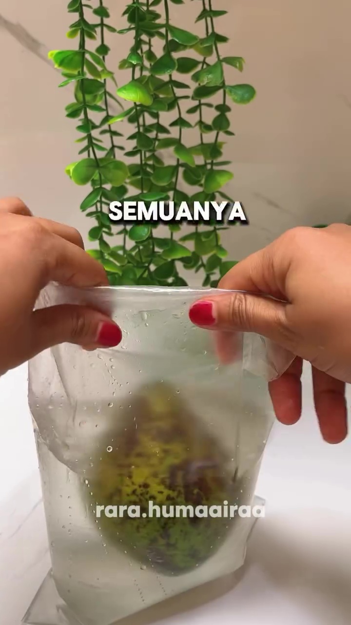 Punya alpukat matang tapi bingung cara simpannya? Pakai metode ini biar antibusuk hingga 10 hari