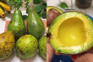 Punya alpukat matang tapi bingung cara simpannya? Pakai metode ini biar antibusuk hingga 10 hari
