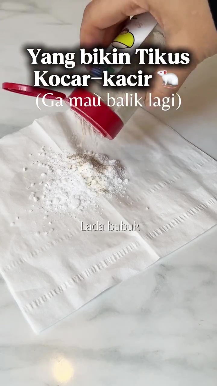 Tikus auto kocar-kacir dan tak balik rumah lagi, cukup gunakan 1 bumbu dapur ini untuk mengusirnya