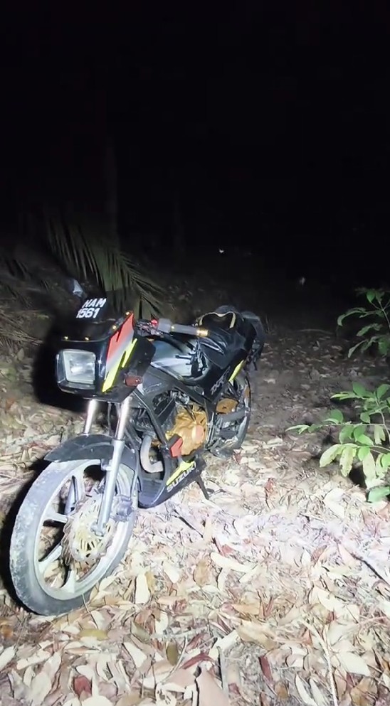 Diintai harimau, pria nekat bertahan 4 jam di atas pohon, ini akhir ceritanya