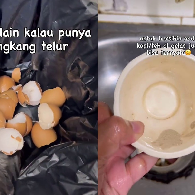 Ternyata cangkang telur ampuh bersihkan berbagai perabot rumah dan dapur, begini cara pakainya