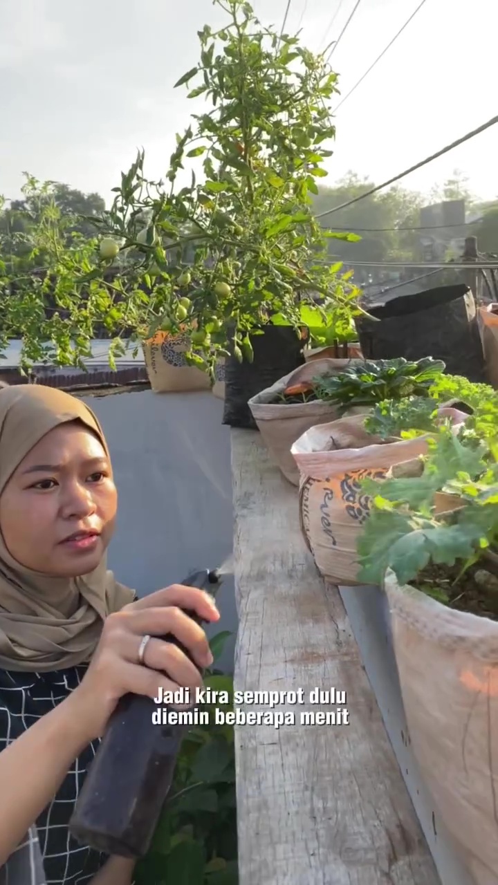 Stop pakai baking soda untuk usir hama di tanaman! Ganti dengan 3 bahan dapur ini biar lebih aman