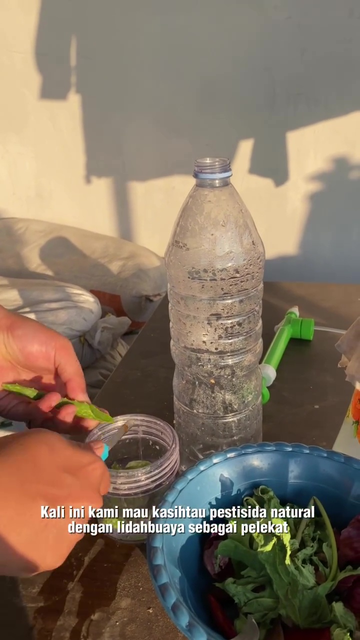 Stop pakai baking soda untuk usir hama di tanaman! Ganti dengan 3 bahan dapur ini biar lebih aman