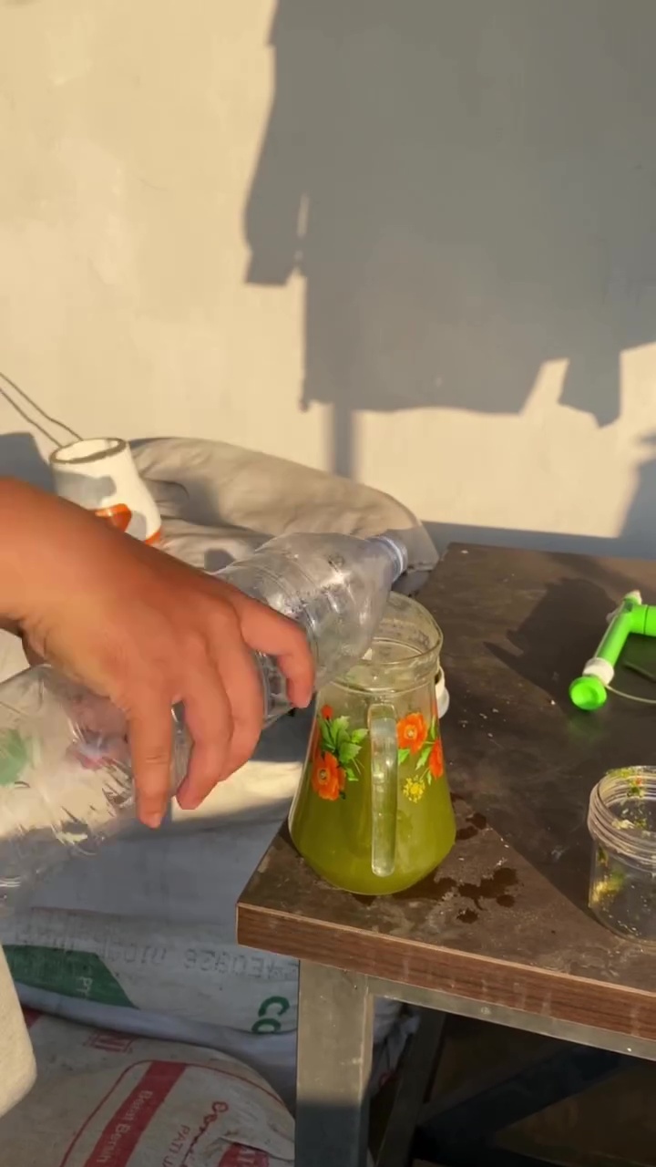 Stop pakai baking soda untuk usir hama di tanaman! Ganti dengan 3 bahan dapur ini biar lebih aman