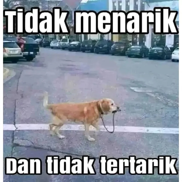 12 Meme lucu diartikan apa adanya ini recehnya level dewa, bikin pengin ketawa ngikik