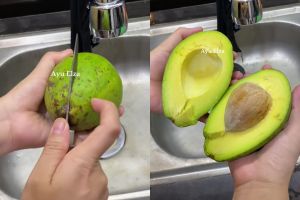 Penjual jus wajib tahu tips ini, cara bikin daging alpukat tak menghitam meski sudah dibelah