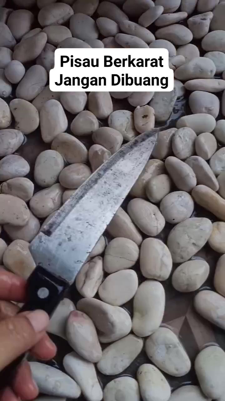 Auto bersih tanpa sabun, ini cara hilangkan karat tebal di pisau biar tajam lagi seperti baru