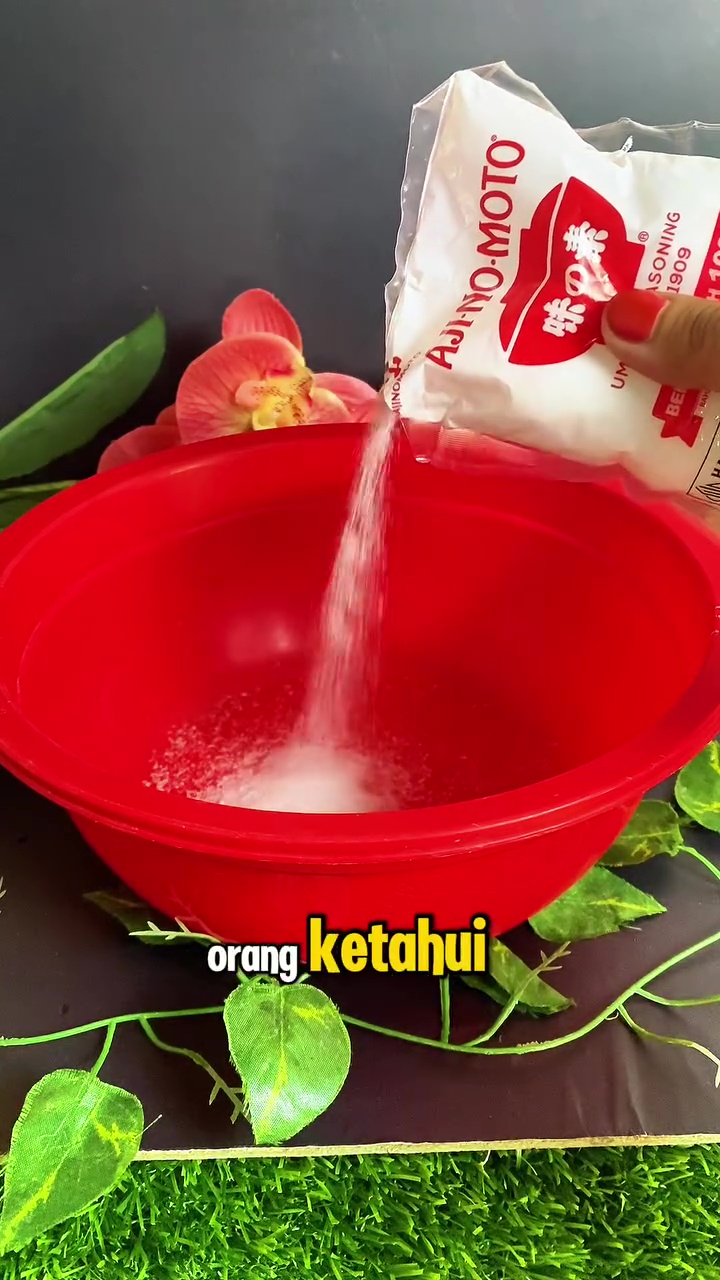 Punya baju putih yang mulai menguning? Jangan dibuang! Cuci dengan 2 bahan dapur ini biar cerah lagi