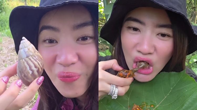 Biasa makan di resto, wanita ini keenakan nikmati siput bumbu lokal, ngeluh pahit karena bagian ini