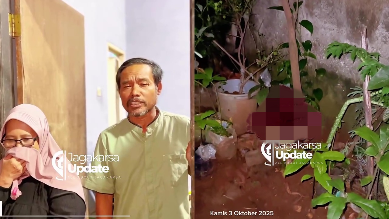 Viral penemuan bunga bangkai di halaman rumah warga di Jagakarsa, begini penampakan dan kronologinya