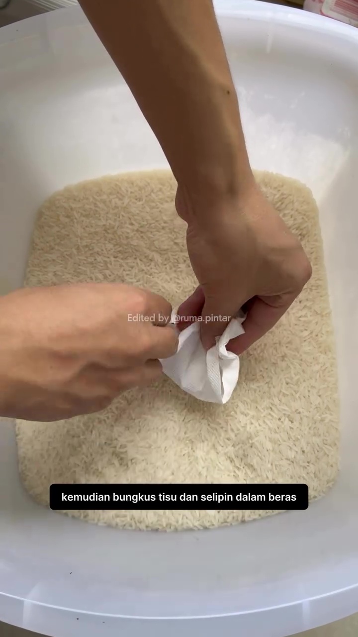 Tak perlu pakai cuka, ini trik ampuh supaya beras bebas kutu dan semut bermodal rempah-rempah dapur