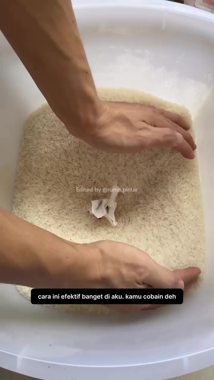 Tak perlu pakai cuka, ini trik ampuh supaya beras bebas kutu dan semut bermodal rempah-rempah dapur