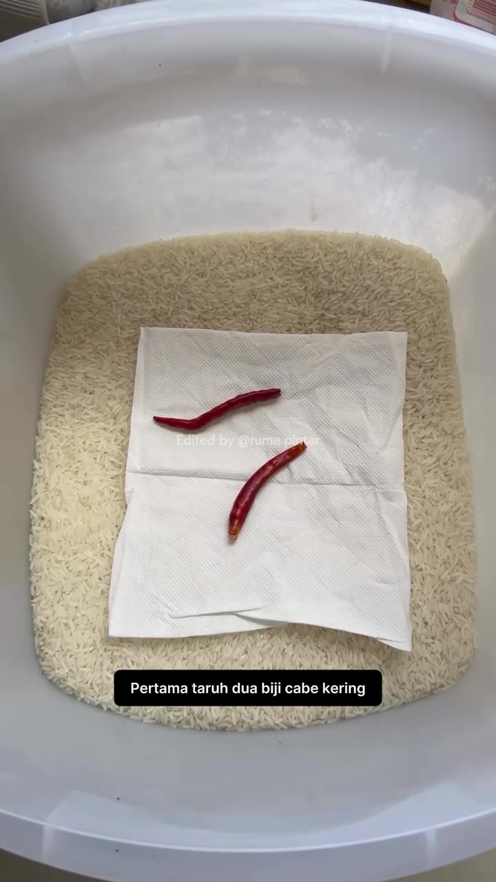 Tak perlu pakai cuka, ini trik ampuh supaya beras bebas kutu dan semut bermodal rempah-rempah dapur