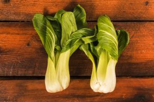 Bak baru dipanen, wanita ini pakai trik cerdas agar pokcoy segar meski sudah disimpan 5 hari di kulkas