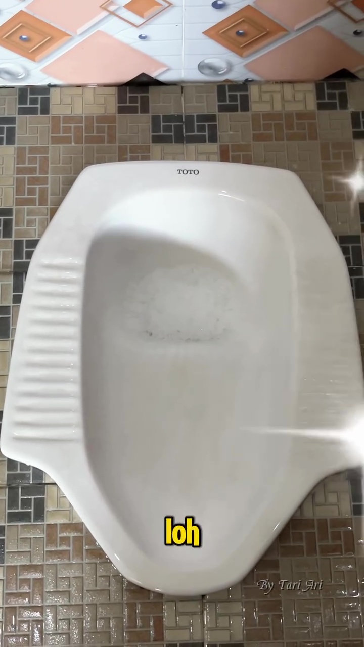 Jangan asal pakai pembersih kloset kalau tak ingin muncul bercak hitam, ganti dengan 2 bahan dapur ini