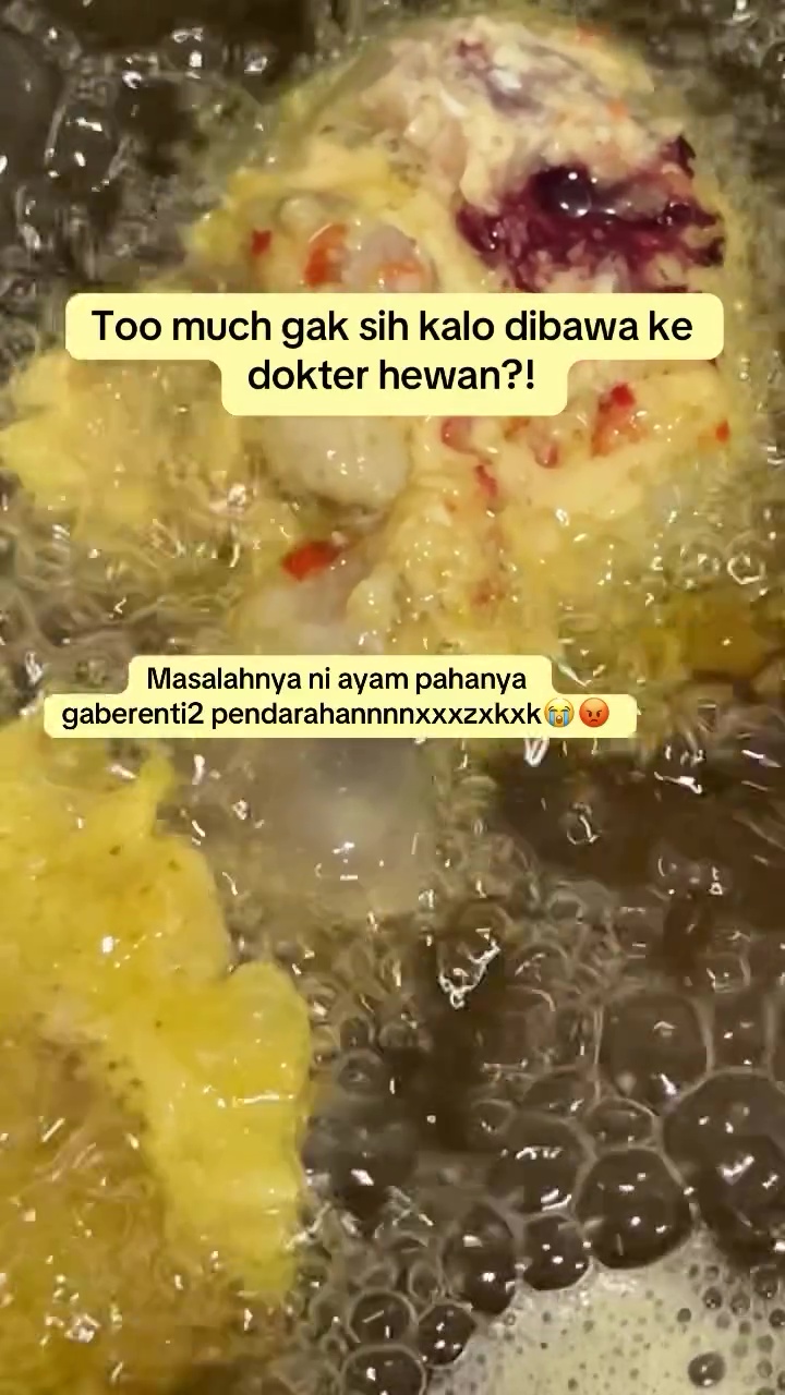 Wanita ini heran paha ayam malah berdarah tanpa henti saat digoreng, ternyata begini cara mengatasinya