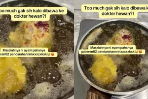 Wanita ini heran paha ayam malah berdarah tanpa henti saat digoreng, ternyata begini cara mengatasinya