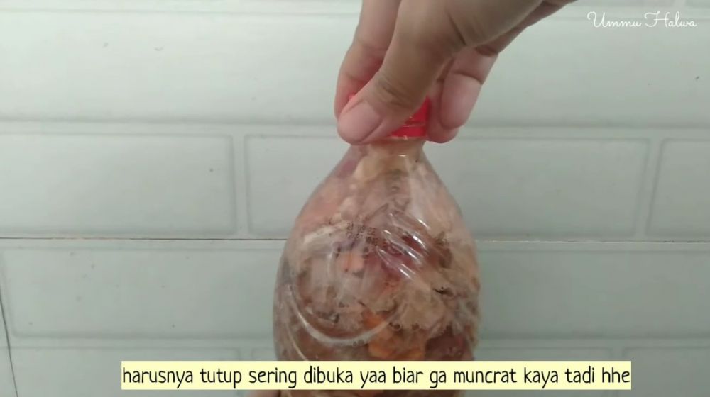Jangan asal, ini cara merawat daun mint agar tak mudah kering atau layu pakai pupuk dari 1 bahan dapur