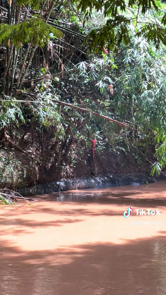 Viral batu di tepi sungai ini disebut mirip ular raksasa, penampakannya bikin bergidik tapi penasaran