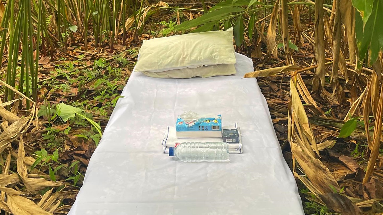 7 Potret lucu Semak-Semak House, penginapan 'bintang 5' bernuansa alam ini bikin ngakak warganet