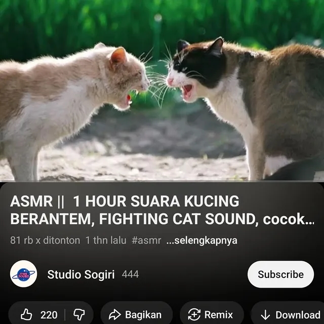 11 Rekomendasi video ASMR nyeleneh ini cocok jadi pengantar tidur, ada 1 jam suara renov rumah