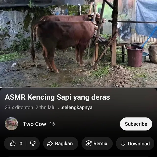 11 Rekomendasi video ASMR nyeleneh ini cocok jadi pengantar tidur, ada 1 jam suara renov rumah