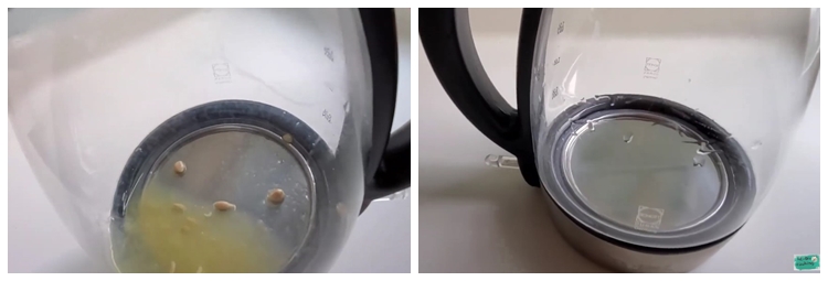 Teko listrik auto kinclong! Trik membersihkan kerak air bandel pakai 1 bahan dapur