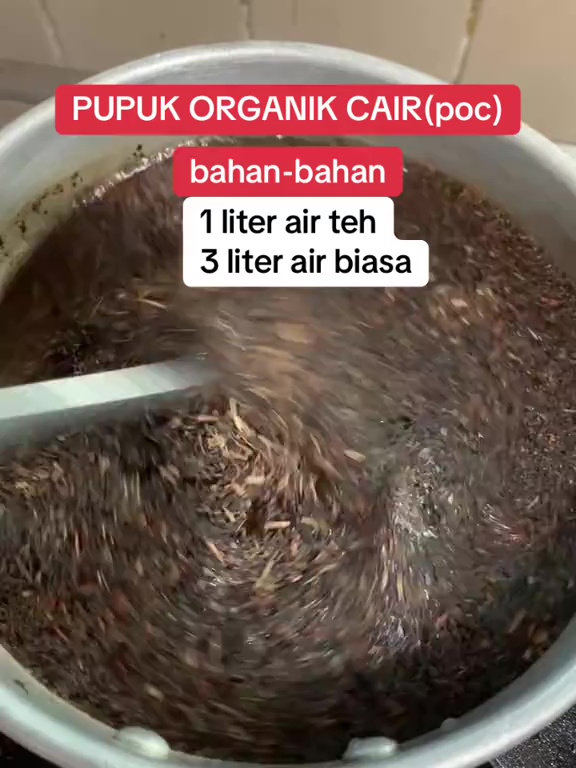 Cara mudah buat pupuk cair dari teh tanpa perlu difermentasi lama, tanaman auto subur dan cepat panen