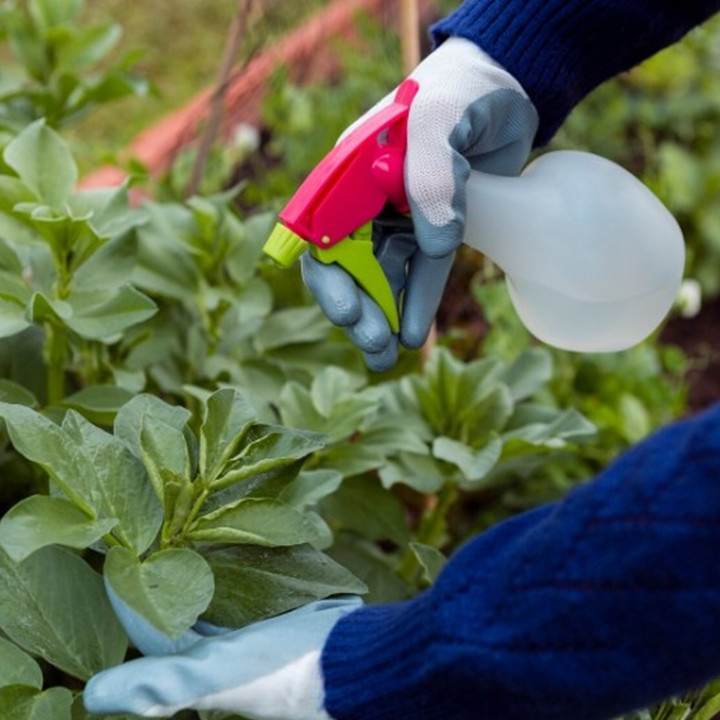 Cara mudah buat pupuk cair dari teh tanpa perlu difermentasi lama, tanaman auto subur dan cepat panen