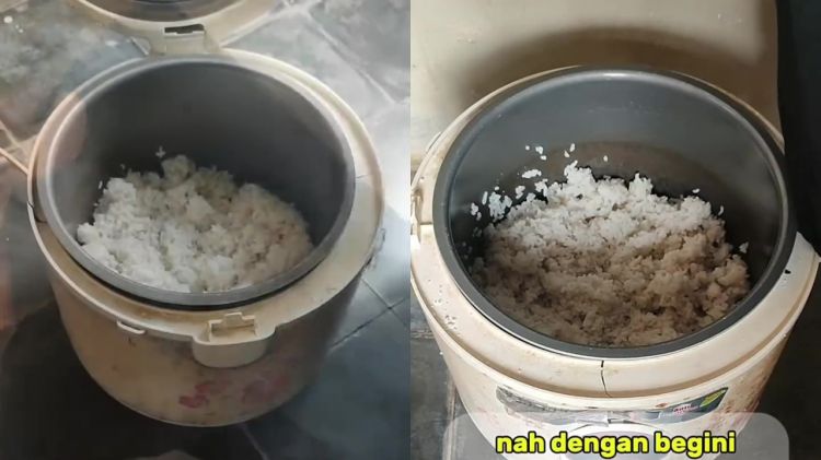 Cara supaya nasi di rice cooker tak cepat kering dan bau meski sudah dingin, cukup gunakan 1 alat ini