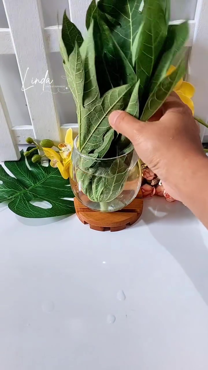 Dapat trik dari tukang sate, ternyata begini cara efektif basmi lalat tanpa semprotan serangga