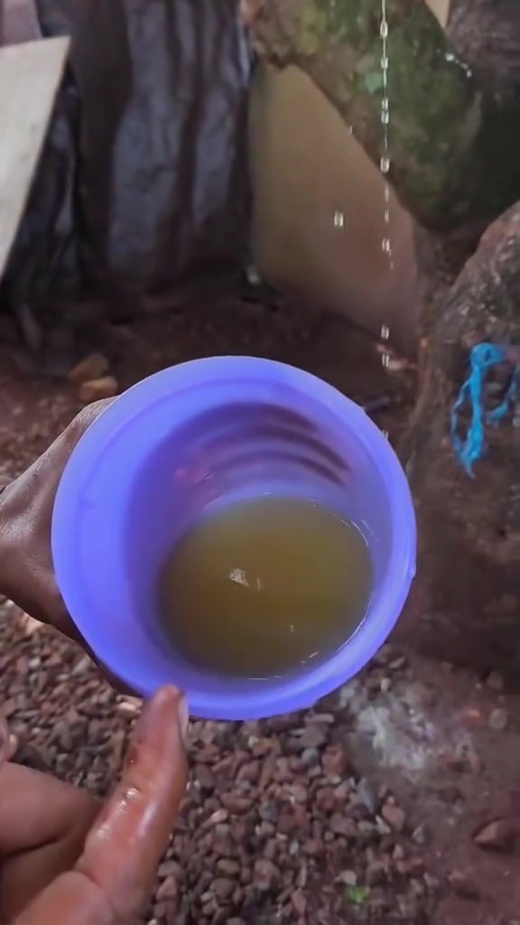 Minyak goreng tercampur air, jangan langsung dibuang! Begini trik mengatasinya biar bisa dipakai lagi