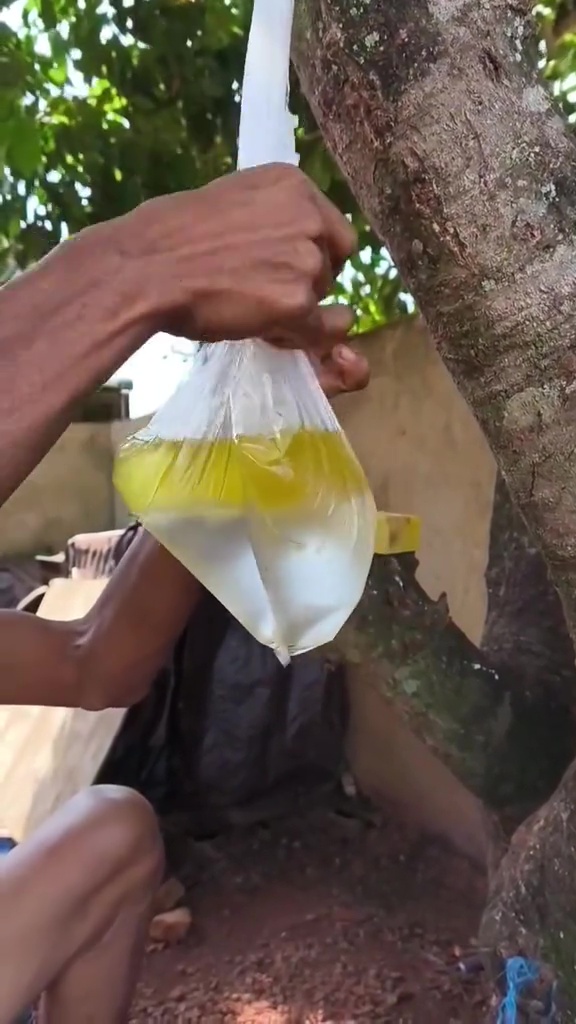 Minyak goreng tercampur air, jangan langsung dibuang! Begini trik mengatasinya biar bisa dipakai lagi